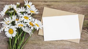 Greeting Card Designer