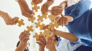 Importance and Role of Nonprofit Organizations in the UK