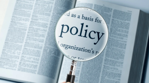 The Impact of Government Policies on Business Economics