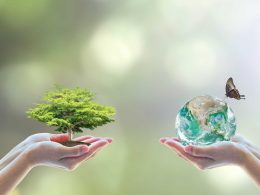 Understanding Biodiversity Net Gain