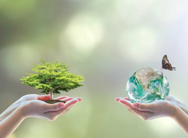 Understanding Biodiversity Net Gain