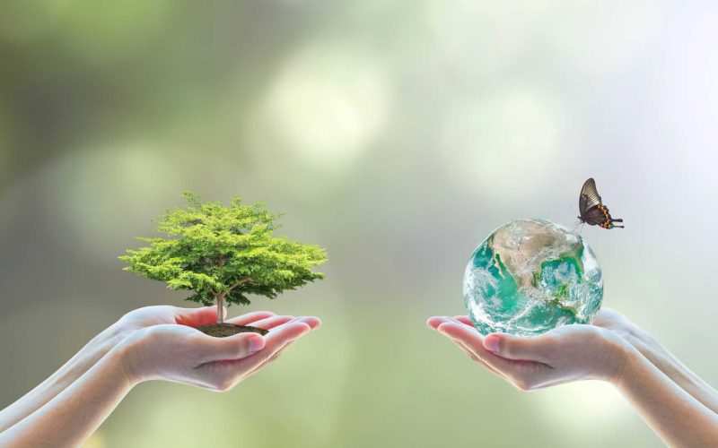 Understanding Biodiversity Net Gain
