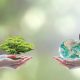 Understanding Biodiversity Net Gain
