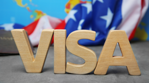 What is the Innovator Visa