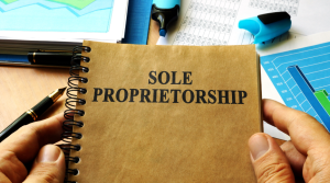 What is the Sole Representative Visa UK