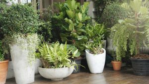 Incorporating Nature