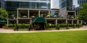 The Ivy