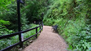 Shanklin Chine - A Natural Beauty