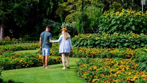 Ventnor Botanic Garden - A Flora Paradise