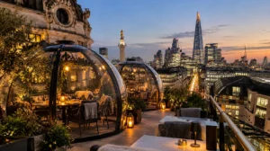 Wagtail Rooftop Bar & Restaurant