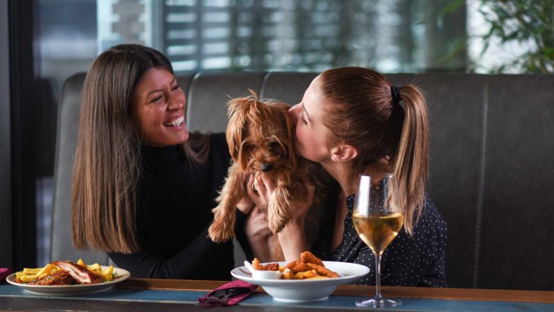 dog friendly restaurants in london