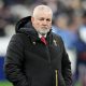 Warren Gatland News
