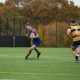 Rugby Union Transfer Rumours