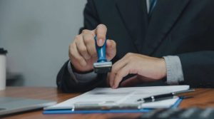 What Impact Could the Reform Party's Immigration Policies Have on UK Border Control?