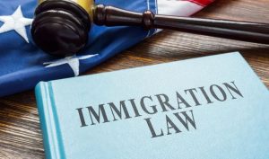 What Role Does Nigel Farage Play in Shaping Immigration Policy?